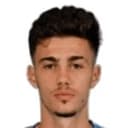 Nikola Mituljikić