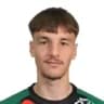 Nermin Mesic