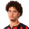 Everton Pereira