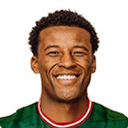 Georginio Wijnaldum