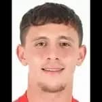 Talha Polat