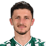 Enis Bardhi