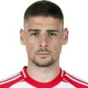 Andrej Ilić