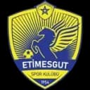 Etimesgut Spor Kulübü