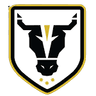 Bulls FC Academy