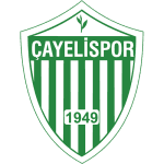 Çayeli Spor
